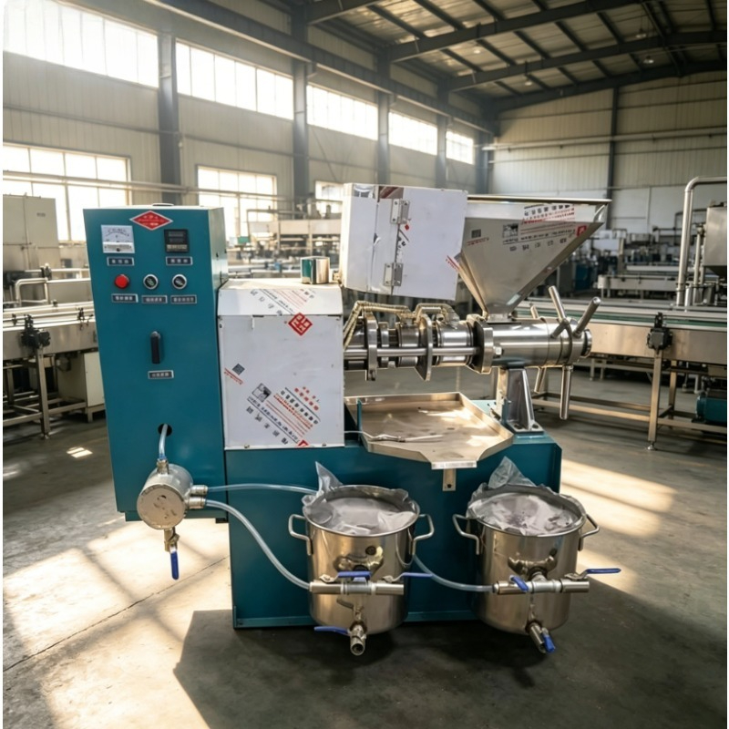 Home Cooking Oil Making Machine - Koudgeperste oliepersmachine op maat, draagbare huishoudelijke