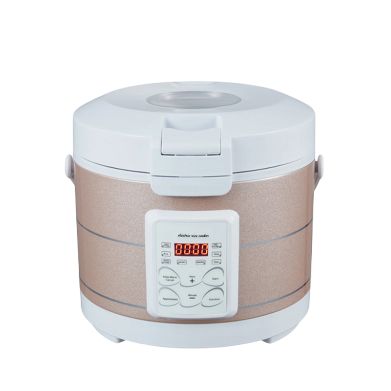 Home Cooking Heater - 12-24V 220V Rijstkoker Soep Stoomboot Verwarming