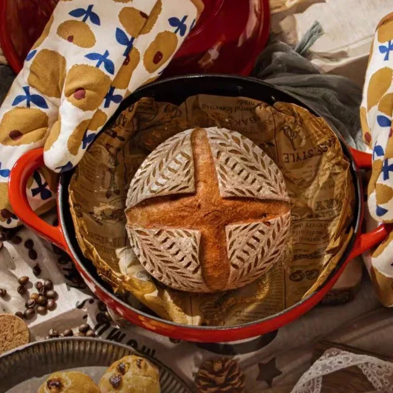 Geëmailleerde Gietijzeren Broo - Dutch Oven Enamel recensie en prijs