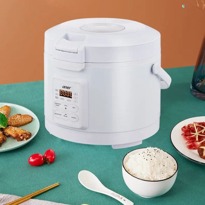 220V Rijstkoker Soepstoomboot  - Home Cooking Heater recensie en prijs